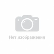 Термометр сопротивления E52-ELP4-50-2-A